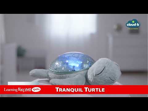 Tranquil Turtle Ocean
