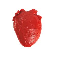 Teeny Tiny Vital Organ Squishy