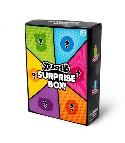 Scrunchems Surprise Box