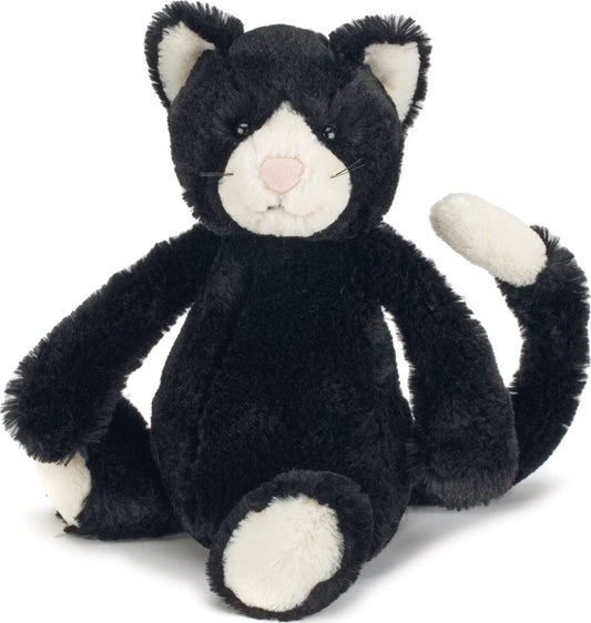 Bashful Black White Cat