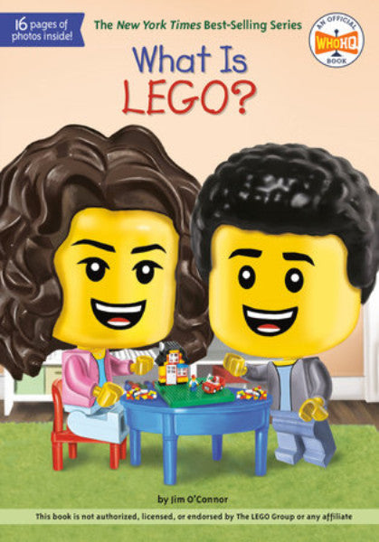 What Is LEGOR-1