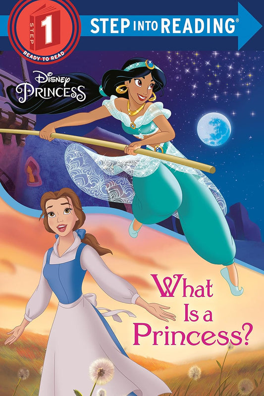 What Is a Princess Sir 1-1