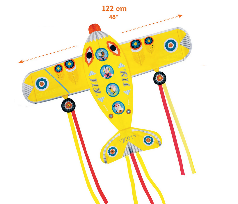 Maxi Plane Kite-1