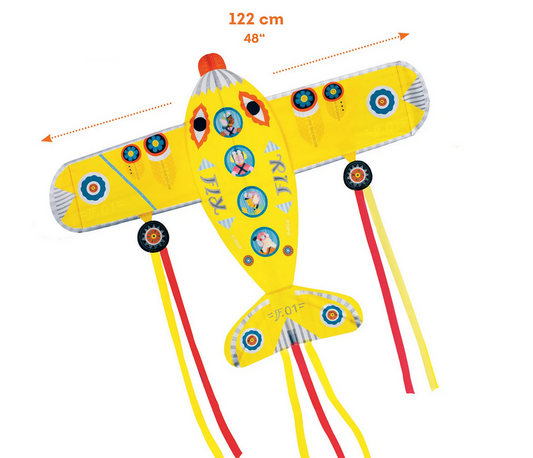 Maxi Plane Kite-1