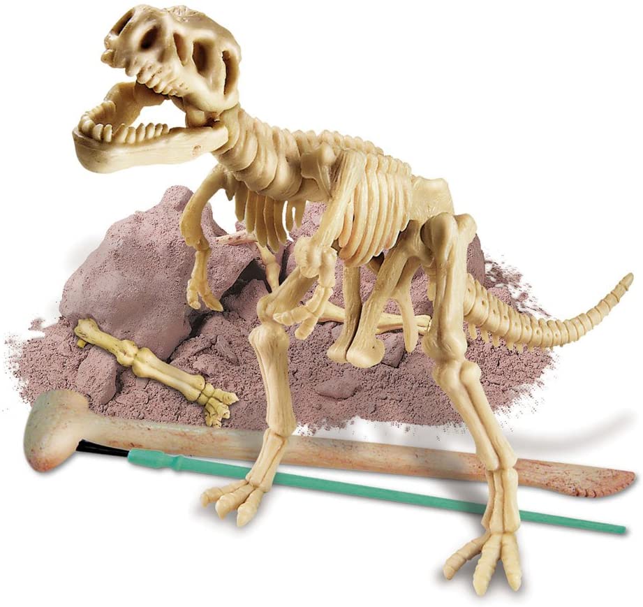 Dig a Dino T-Rex-1