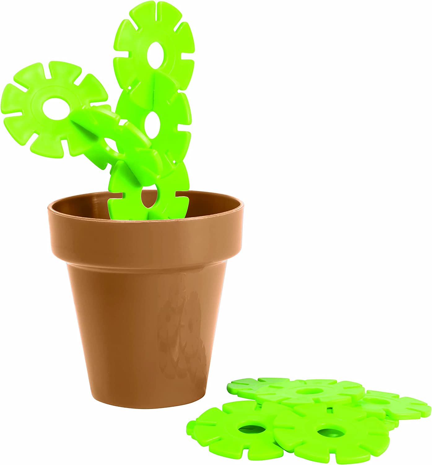 Succulent Sculpture