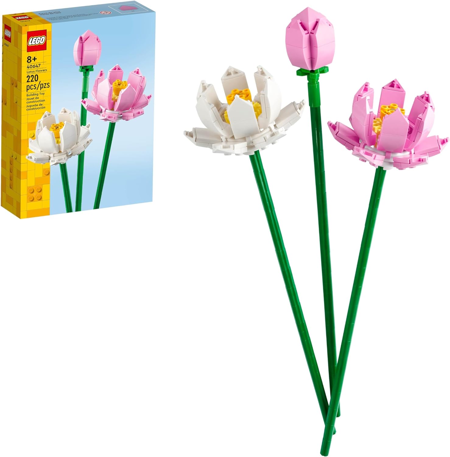 Lotus Flowers