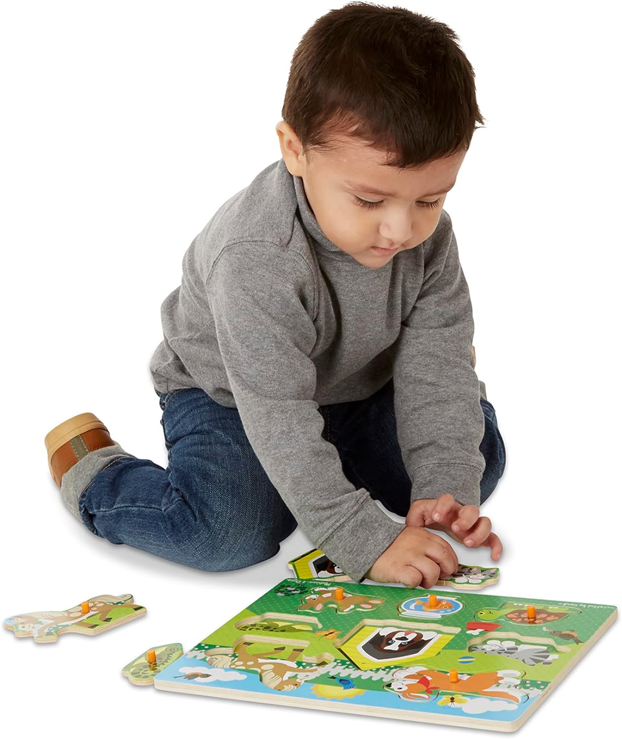 Pets Peg Puzzle