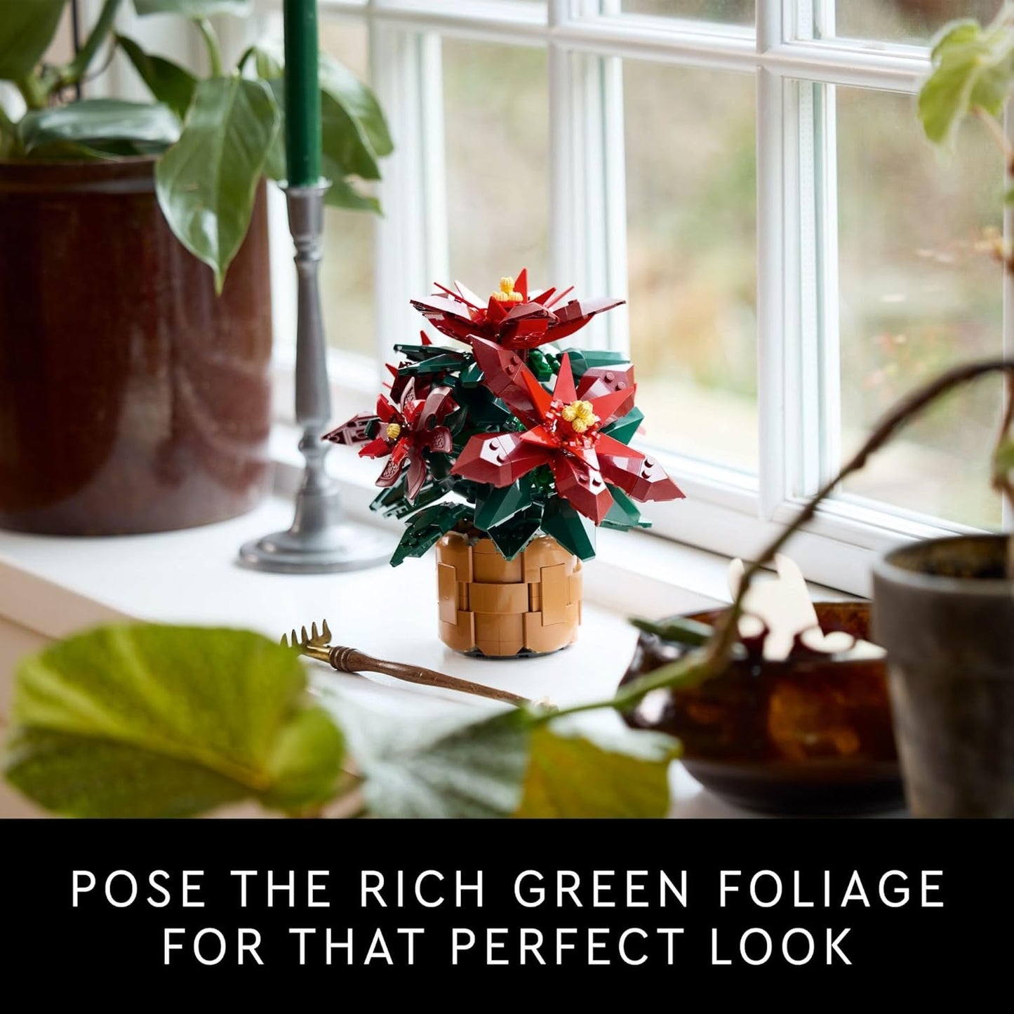 Poinsettia Icons New 2024