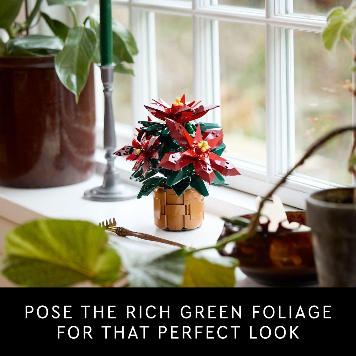 Poinsettia Icons New 2024
