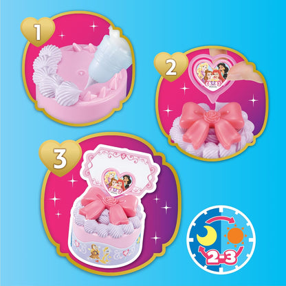 Disney Princess Kit