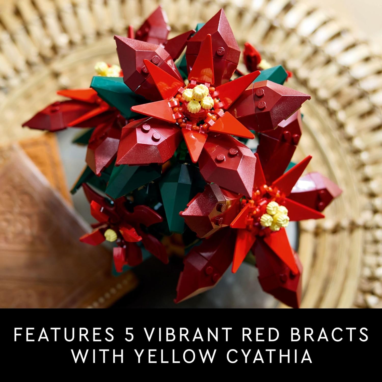 Poinsettia Icons New 2024