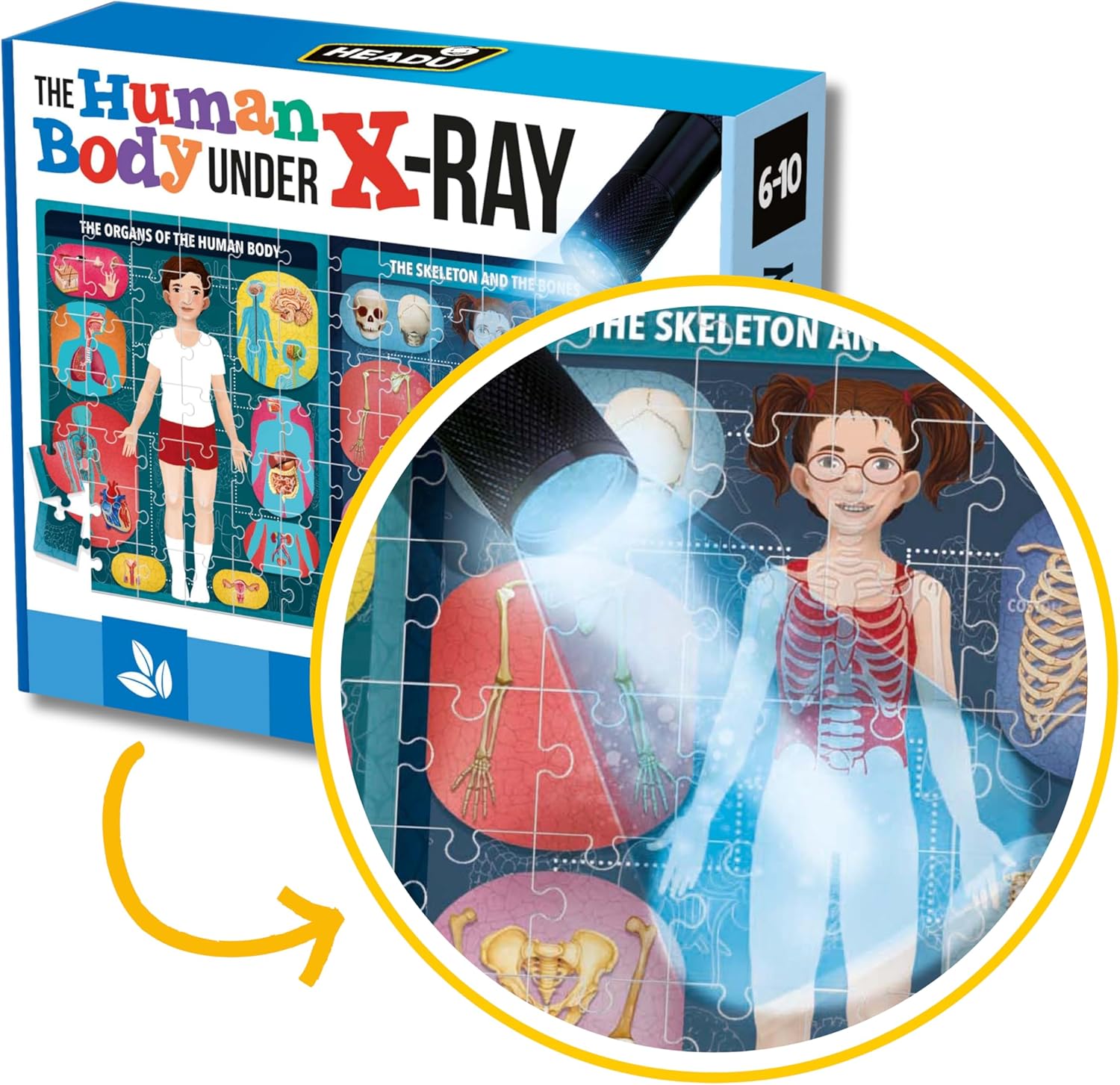 X-Ray Mission Human Body-3