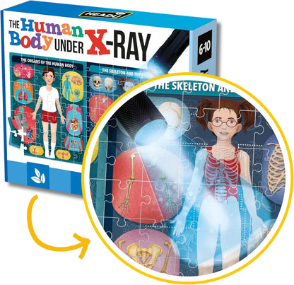 X-Ray Mission Human Body-3