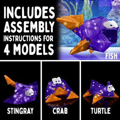 Creato Fish Swimmers
