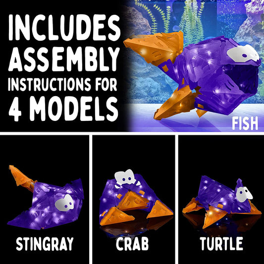 Creato Fish Swimmers