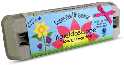 Kaleidoscope Flower Garde