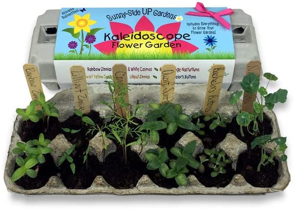 Kaleidoscope Flower Garde