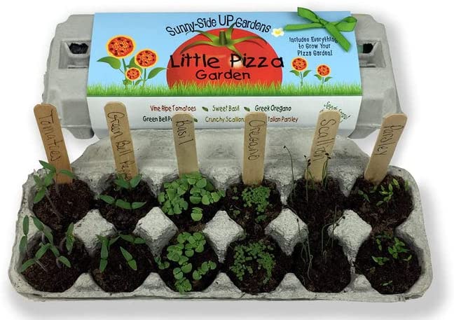 Little Pizza Garden Grow