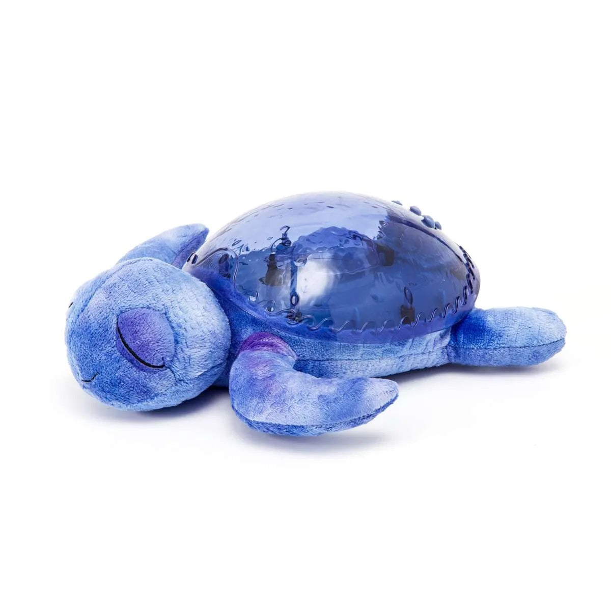 Tranquil Turtle Ocean