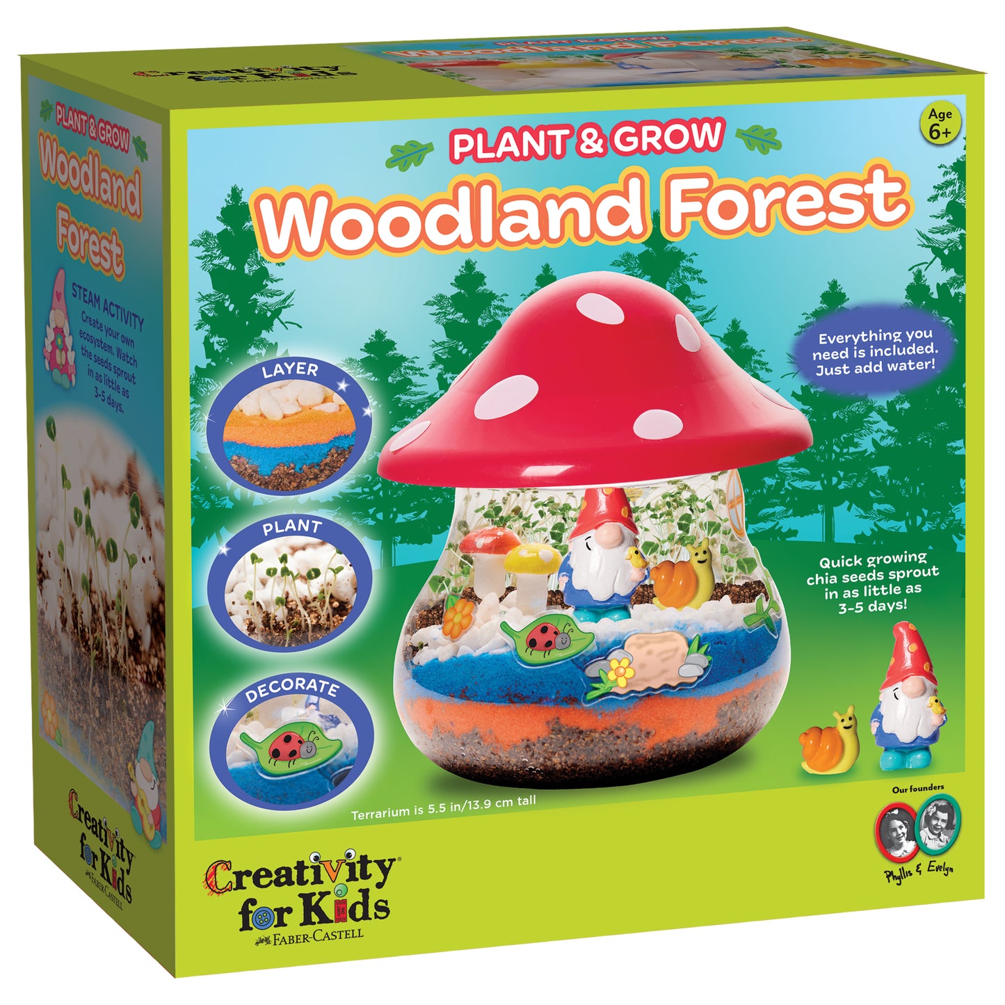 Plant Woodland Forest-1