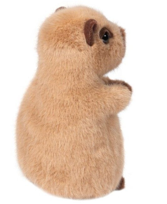 Chatty Capybara Mini Soft