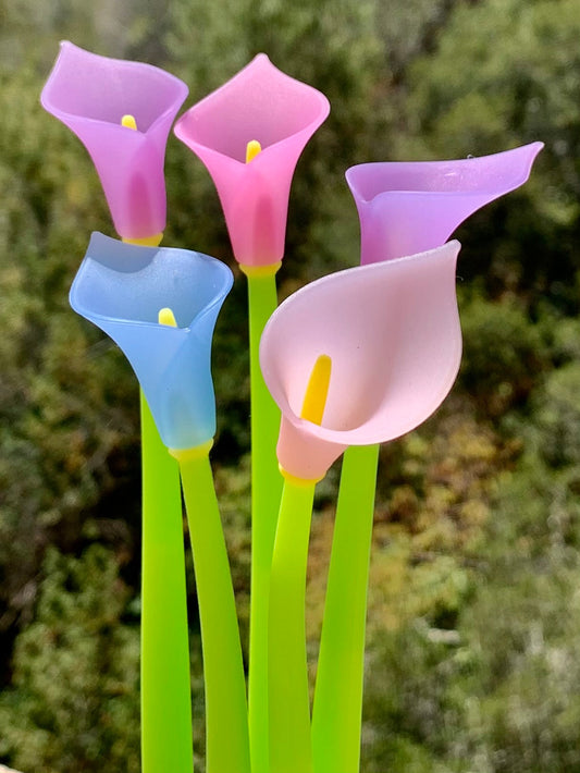 Color Changing Lily