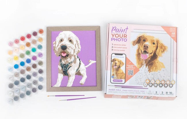 Paint Your Photo Pets 2