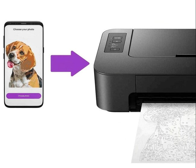 Paint Your Photo Pets 2