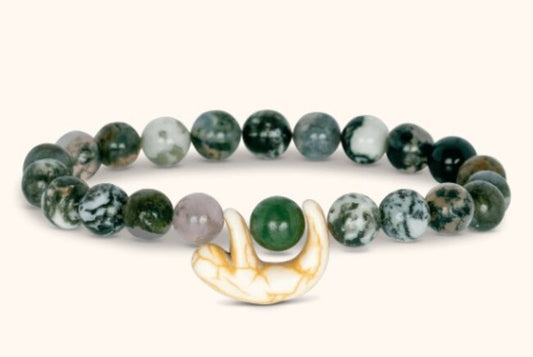 Wander Sloth Rainforest