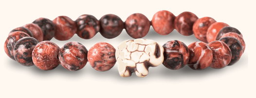 Expedition Desert Stone