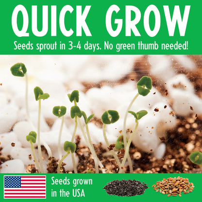 Grow N'glow Dino Terrarium